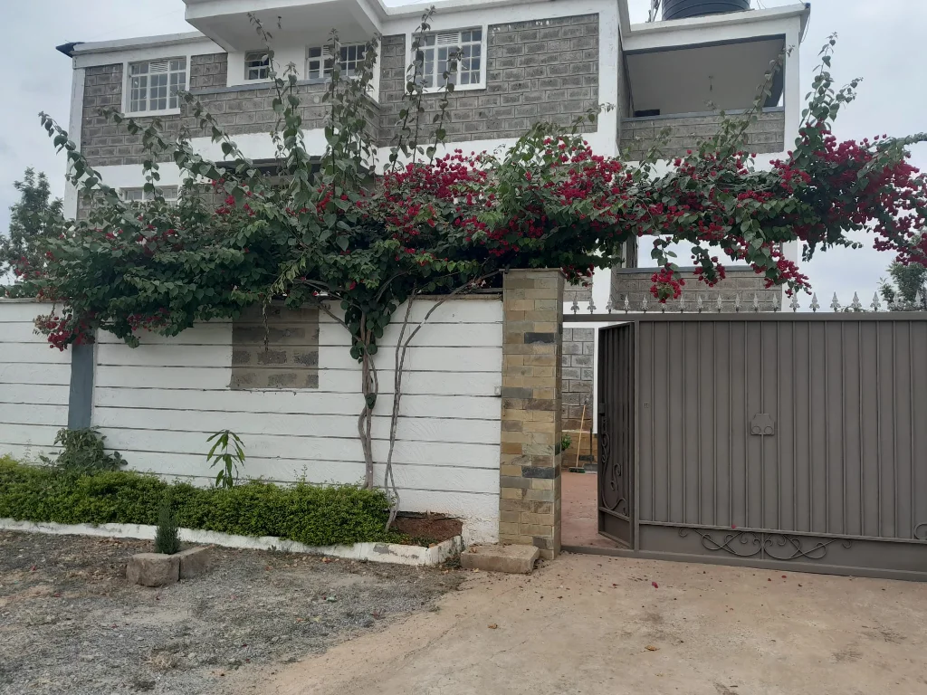 "Gated house entrance in Ruiru Kamakis with flowering bougainvillea, metal security gate, paved driveway, contemporary architecture"